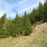 Almnest - Ferienhaus *