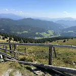 Almnest - Lachtal