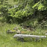 Ferienhaus Almnest - *