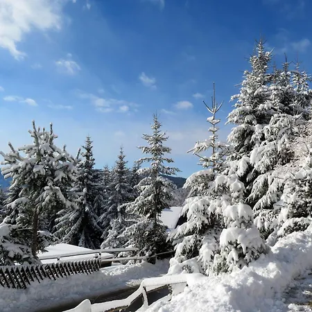 Almnest - Дом отдыха Лахталь