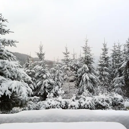 Tatil Evi Almnest - *