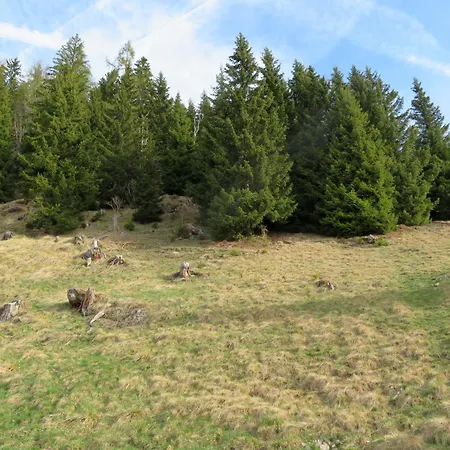 Holiday home Almnest - Lachtal