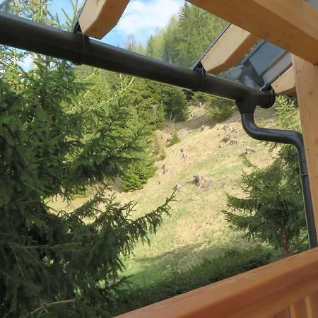 Almnest - Schönberg-Lachtal