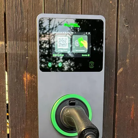 Almnest - * Schönberg-Lachtal