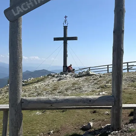 Almnest - Lachtal