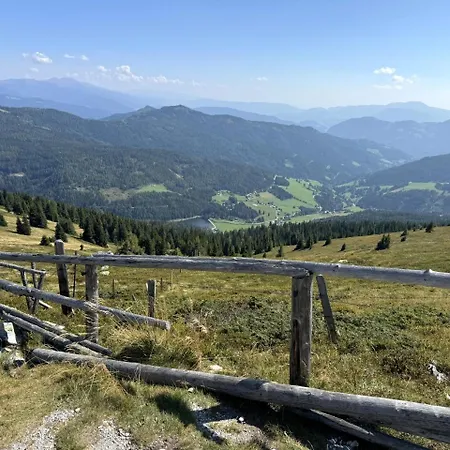 Almnest - Lachtal