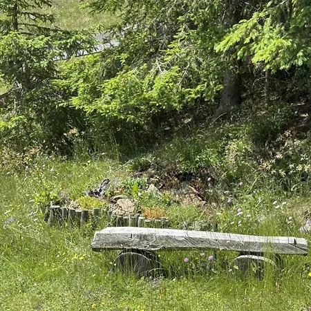 Casa vacanze Almnest - *