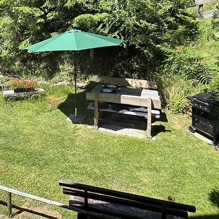 Vakantiehuis Almnest - Lachtal