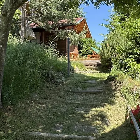 Vakantiehuis Almnest - Lachtal