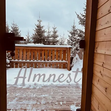 Almnest -