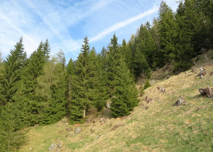 Almnest - Dom wakacyjny *