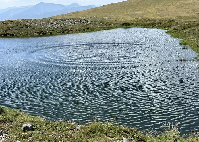 Dom wakacyjny Almnest -