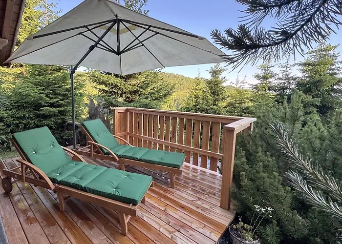 Almnest - Σπίτι διακοπών Lachtal